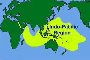 indo-pacific-map