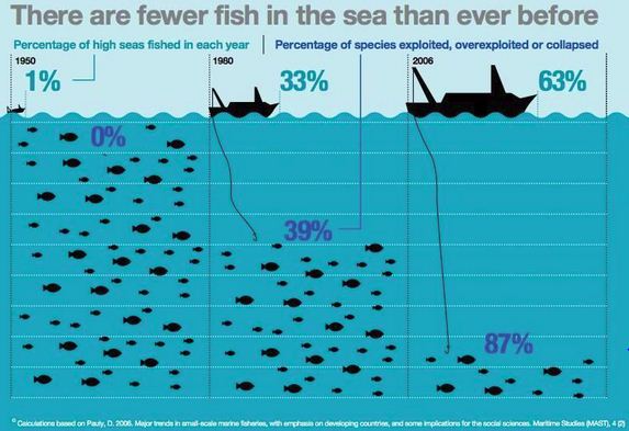 overfishing-infograph