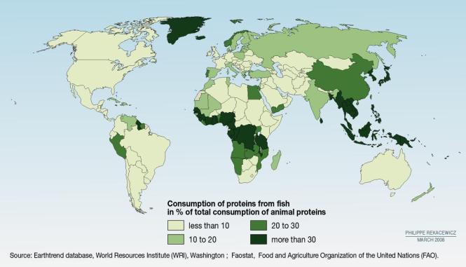 protein consumption fish