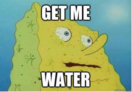 spongebob need water